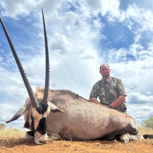 Hunting Gemsbok