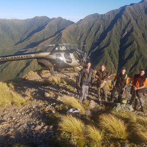 Helicopter New Zealand