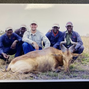 Hartebeest Hunt Tanzania