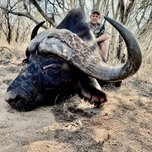 Buffalo Hunt South Africa