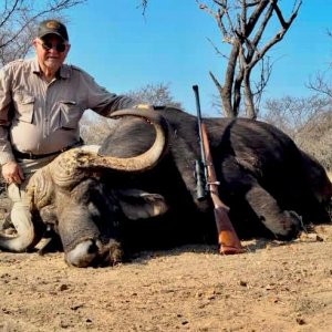 Buffalo Hunt South Africa