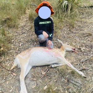 Fallow Deer Doe Hunt Australia