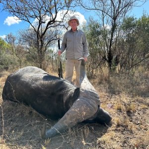 Hunting Cape Buffalo