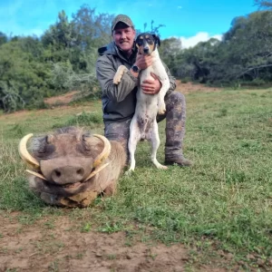 Warthog Hunt South Africa