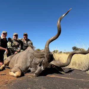 Kudu Hunt South Africa