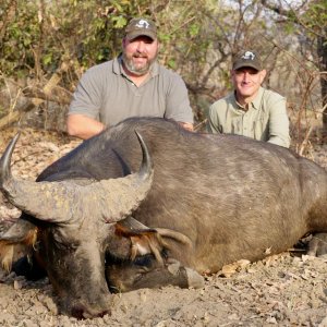 Hunting Western Buffalo Cameroon