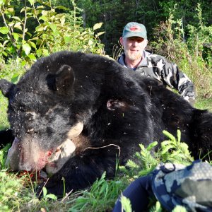 Black Bear Hunt Canada