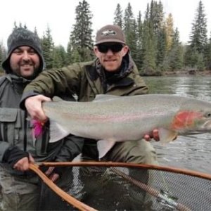 Wild Steelhead Fishing Canada