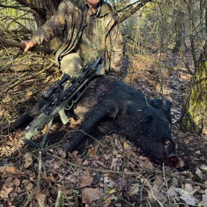 Hog Hunting