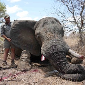 Elephant Hunt South Africa