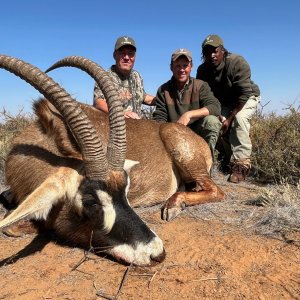 Roan Hunt Eastern Cape South Africa