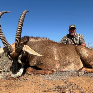 Roan Hunt Eastern Cape South Africa