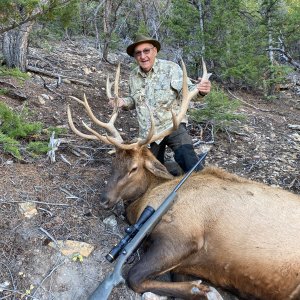 Elk Hunting