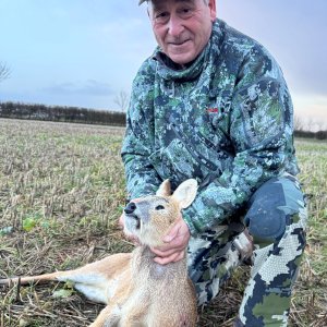 Chinese Water Deer Hunt United Kingdom