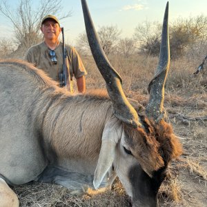 Eland Hunt South Africa