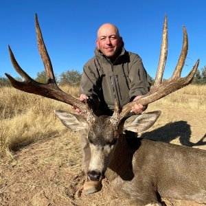 Mule Deer Hunt Mexico