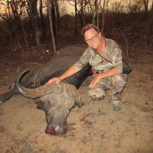 Buffalo Hunt Mozambique