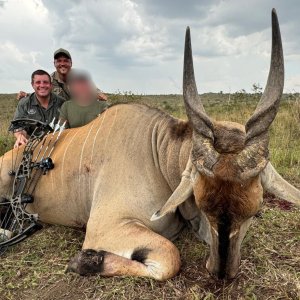 Eland Bow Hunt