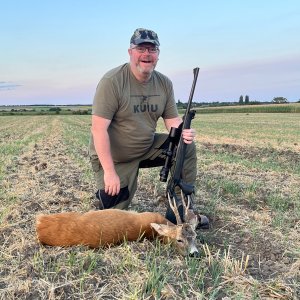 Roe Buck Hunt Hungary