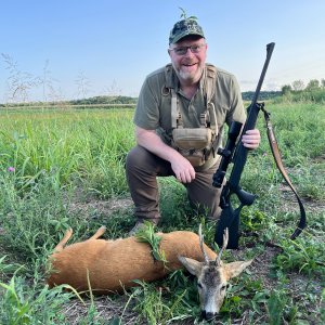 Roe Buck Hunt Hungary