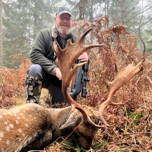 Fallow Hunt Hungary