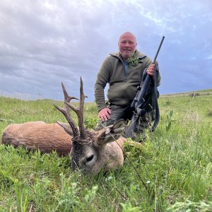 Roe buck hunt in Romania