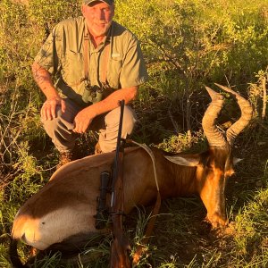 Red Hartebeest Hunting Namibia