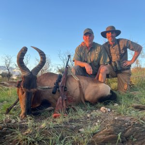 Red Hartebeest Hunt Namibia