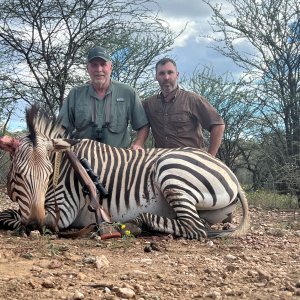 Zebra Hunt Namibia