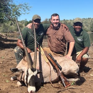 Gemsbok Hunt Namibia