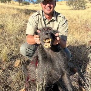 Baboon Hunting