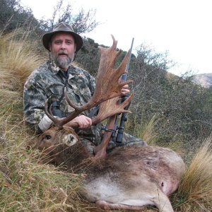 Fallow Deer Hunt New Zealand