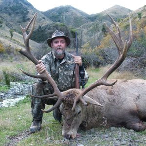 Red Stag Hunt New Zealand