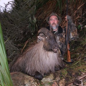 Tahr Hunt New Zealand