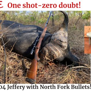 404 Jeffery Custom Rifle North Fork Bullet Reloading Bullets Hunting Hunt Rifle Blaser Saco