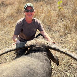 Water Buffalo Hunt Hunt Australia