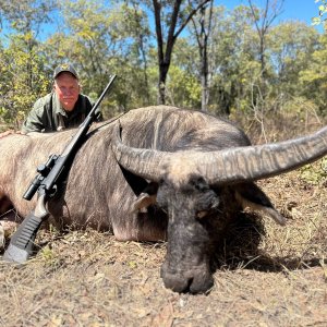 Water Buffalo Hunt Hunt Australia