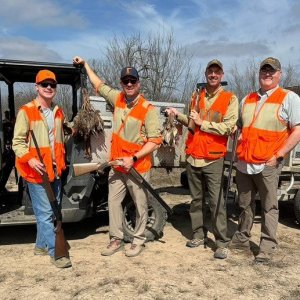 Quail Hunt Texas