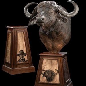 Media 'Buffalo Pedestal Mounts Taxidermy' in category 'Taxidermy & Trophy Room'