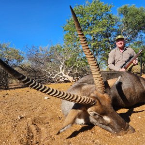 Waterbuck Hunt Limpopo South Africa