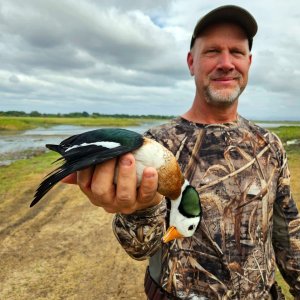 Collection bird hunting South Africa