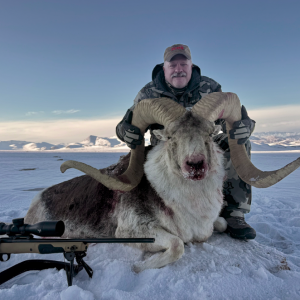 Marco Polo Sheep Hunt Tajikistan