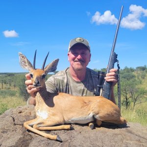 Steenbok Hunt Namibia