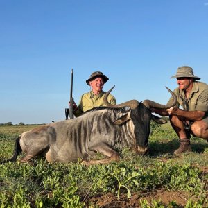 White Bearded Wildebeest Hunt Masaailand