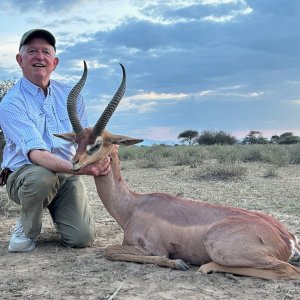 Gerenuk Hunt Masaailand