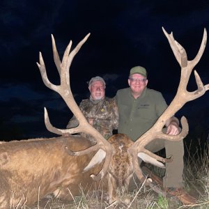 Red Stag Hunt Argentina