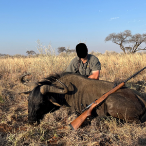 Blue Wildebeest Hunt South Africa