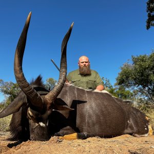 Nyala Hunt South Africa