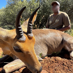 Mountain Reedbuck Hunt South Africa