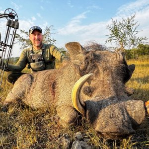 Warthog Bow Hunt Uganda